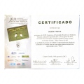 Ampliar imagem: certificate 12