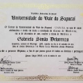 Ampliar imagem: certificate 3