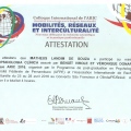 Ampliar imagem: certificate 15