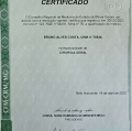 Ampliar imagem: certificate 3