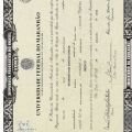 Ampliar imagem: certificate 2