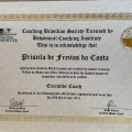 Ampliar imagem: certificate 1