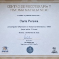 Ampliar imagem: certificate 16