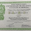 Ampliar imagem: certificate 5