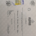 Ampliar imagem: certificate 1