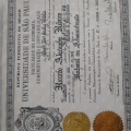 Ampliar imagem: certificate 8