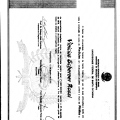 Ampliar imagem: certificate 9
