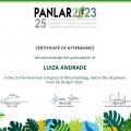 Ampliar imagem: certificate 28