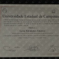 Ampliar imagem: certificate 4