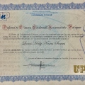 Ampliar imagem: certificate 15