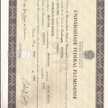 Ampliar imagem: certificate 1