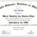 Ampliar imagem: certificate 1