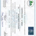 Ampliar imagem: certificate 5