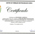 Ampliar imagem: certificate 1