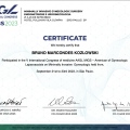 Ampliar imagem: certificate 4