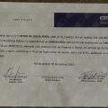 Ampliar imagem: certificate 1