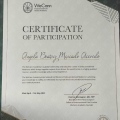 Ampliar imagem: certificate 4