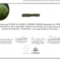 Ampliar imagem: certificate 16