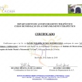 Ampliar imagem: certificate 4