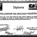 Ampliar imagem: certificate 3