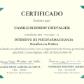 Ampliar imagem: certificate 6