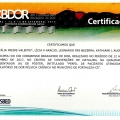 Ampliar imagem: certificate 9