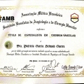 Ampliar imagem: certificate 5
