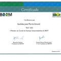 Ampliar imagem: certificate 13
