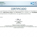 Ampliar imagem: certificate 3