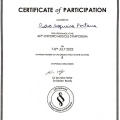 Ampliar imagem: certificate 5