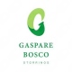 Clinica Dr Gaspare Bosco Ltda