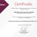 Ampliar imagem: certificate 1
