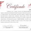 Ampliar imagem: certificate 4