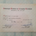 Ampliar imagem: certificate 8