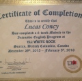 Ampliar imagem: certificate 2