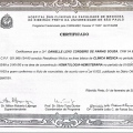 Ampliar imagem: certificate 1