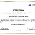 Ampliar imagem: certificate 7