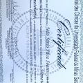 Ampliar imagem: certificate 1