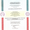 Ampliar imagem: certificate 3