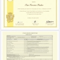 Ampliar imagem: certificate 2