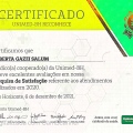 Ampliar imagem: certificate 4