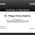 Ampliar imagem: certificate 17