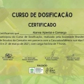 Ampliar imagem: certificate 7