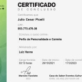 Ampliar imagem: certificate 10