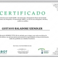 Ampliar imagem: certificate 2