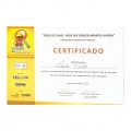 Ampliar imagem: certificate 2