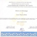 Ampliar imagem: certificate 3