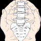 Clínica Salvatore de Fisioterapia E Quiropraxia