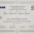Ampliar imagem: certificate 4