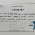Ampliar imagem: certificate 30